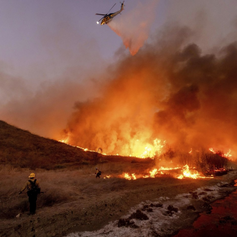 Les incendies de forêt récents sont-ils pires que ceux des deux derniers siècles ?