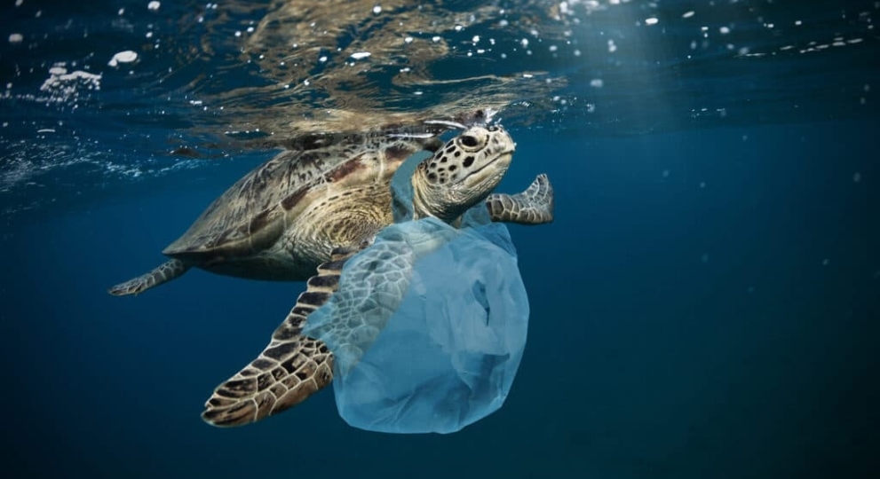 L’usage unique, symptôme d’un problème en plastique