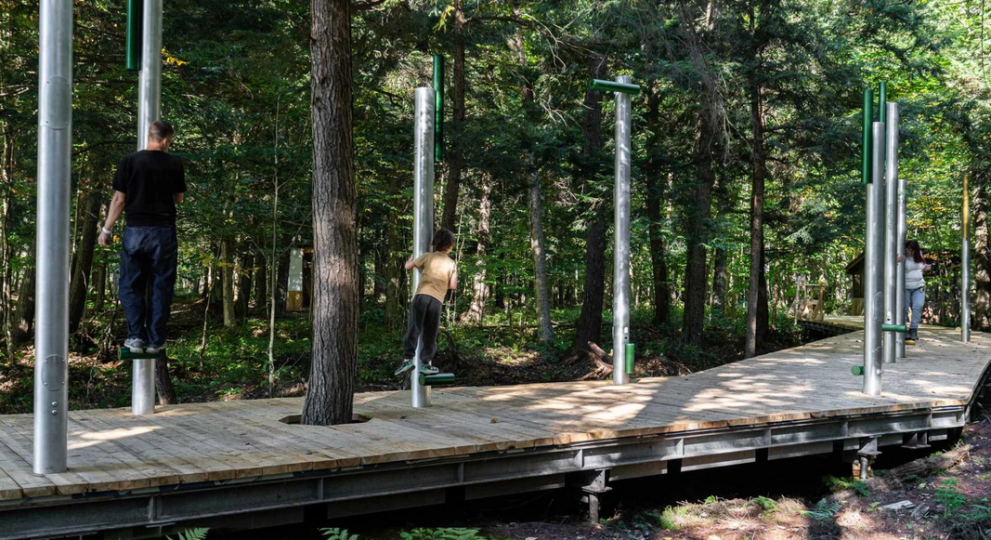 Se syntoniser avec la for&ecirc;t