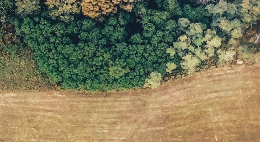 Les produits alimentaires &agrave; l&rsquo;origine de la d&eacute;forestation