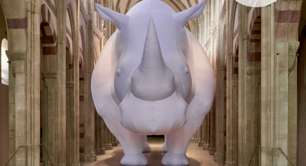 Mat&eacute;riaux biosourc&eacute;s &ndash; Le rhinoc&eacute;ros dans la pi&egrave;ce