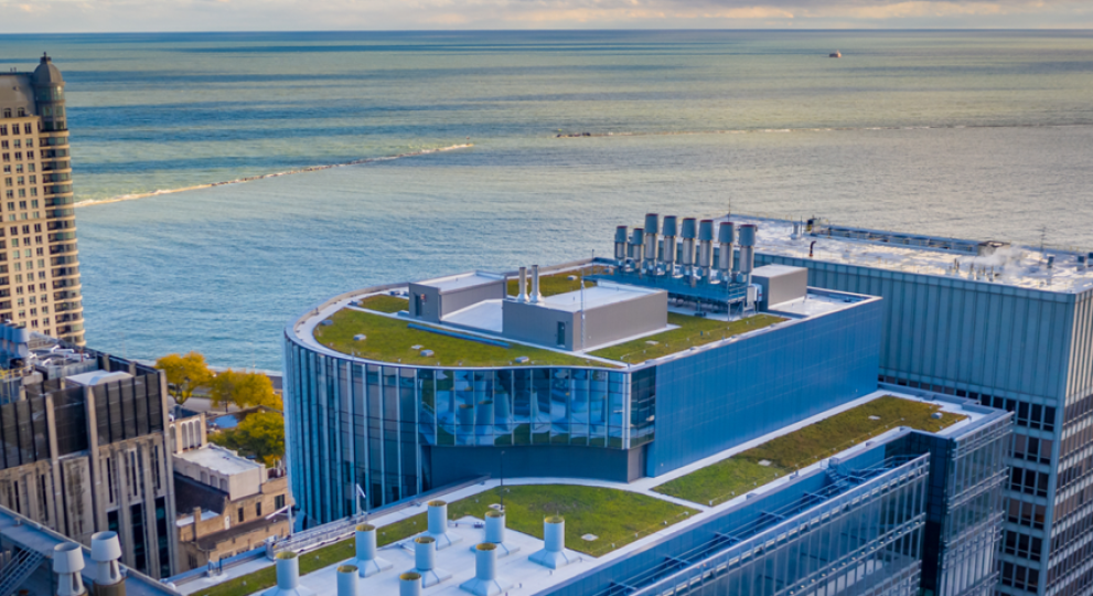 Toitures v&eacute;g&eacute;talis&eacute;es et toits bleus &ndash; Techniques de gestion des eaux pluviales dans les environnements urbains modernes